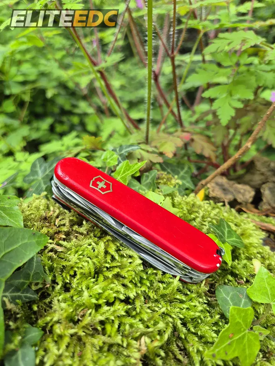 Victorinox Fieldmaster closed - 91mm of Swiss steel that lives in my EDC bag every day