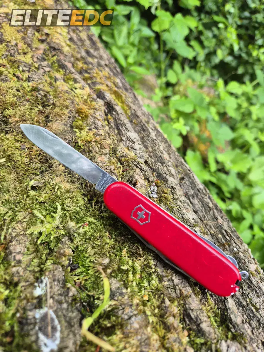 Victorinox Fieldmaster main blade profile