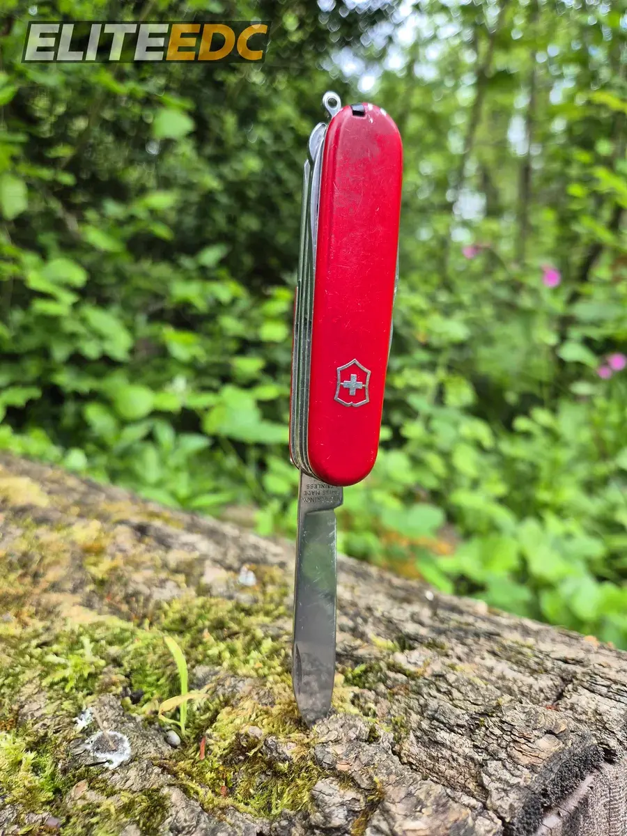 Victorinox Fieldmaster main blade - takes a razor edge with minimal effort
